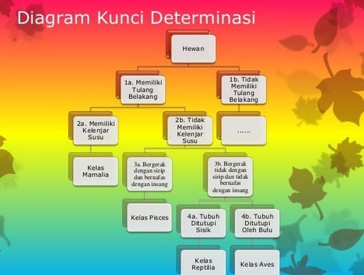 Pengertian Dan Contoh Kunci Determinasi Dikotomi Hewa 5904