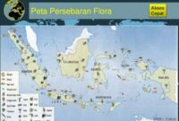 Peta Persebaran Flora di Indonesia