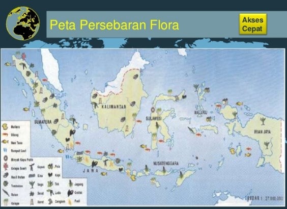 Peta Persebaran Dm Di Indonesia My Xxx Hot Girl